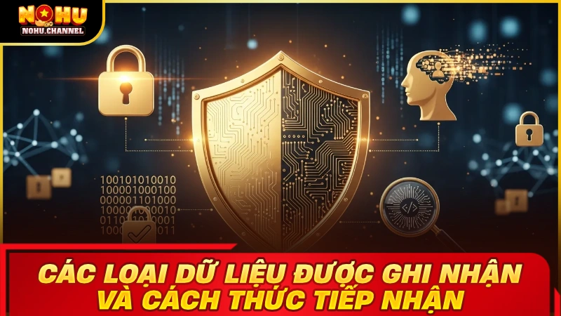 Các loại dữ liệu được ghi nhận và cách thức tiếp nhận